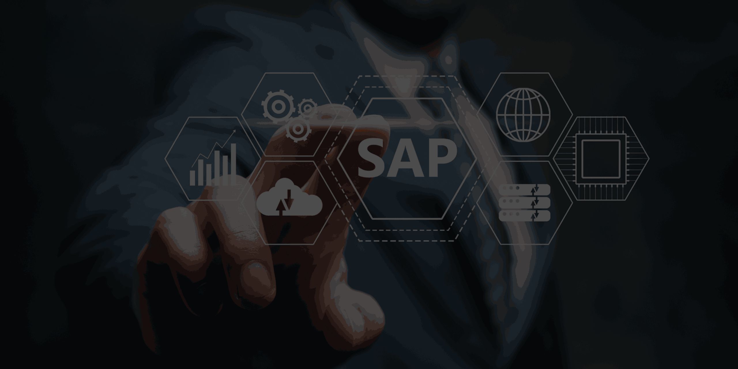 SAP Consulting